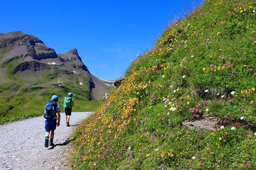 Hiking to Bachalpsee with kids