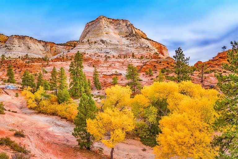 15 Amazing USA National Parks to Visit in October 2023 (+Info & Tips)