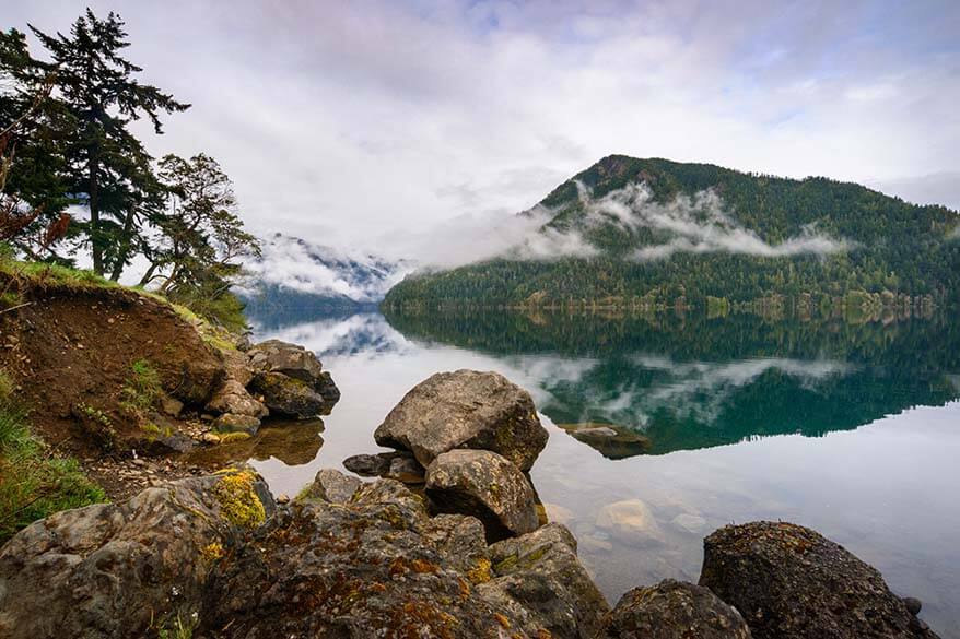 Olympic National Park in November