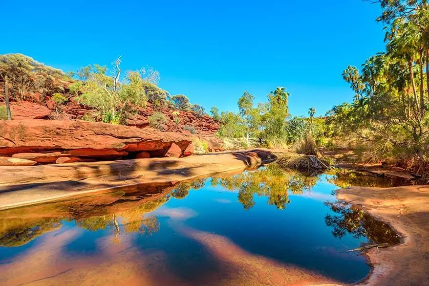 Palm Valley in Red Center Australia