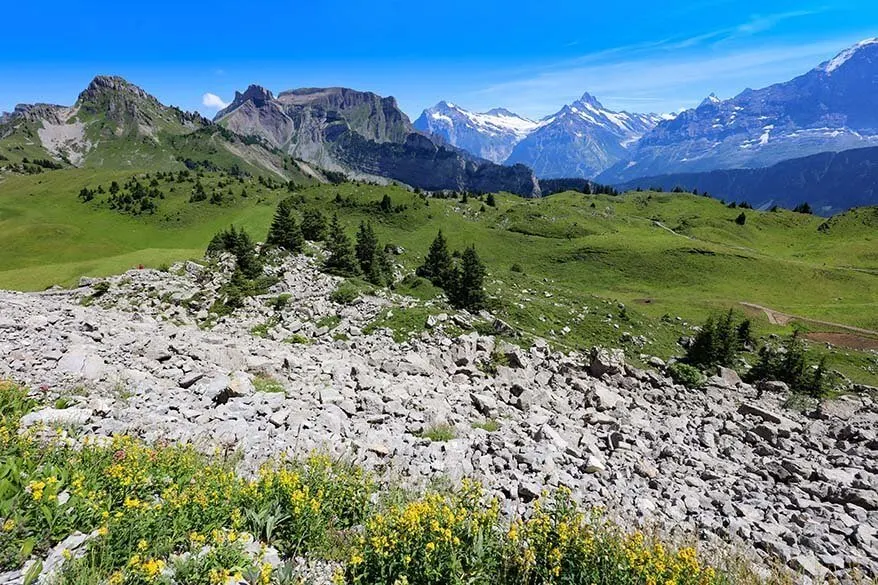 Schynige Platte