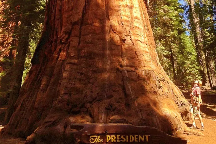 Sequoia National Park in September