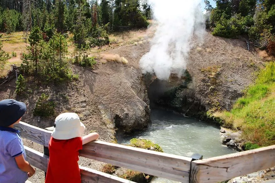 Dragon's Mouth Spring at the Mud Volcano area in Yellowstone