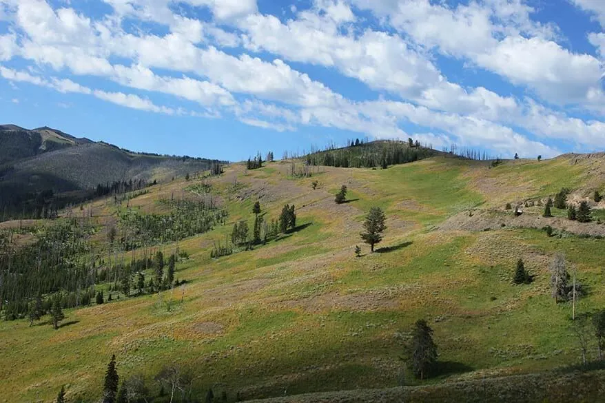 Dunraven Pass in Yellowstone