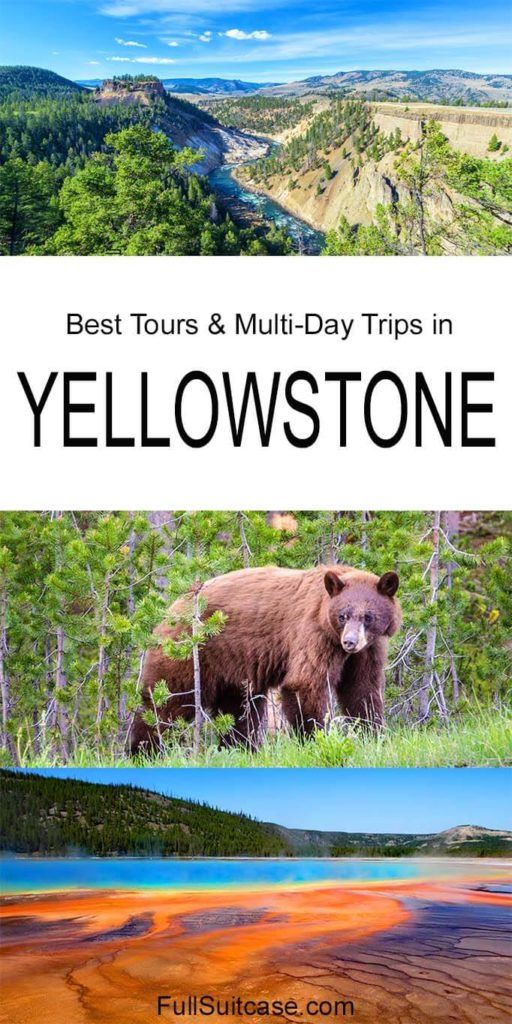 Excursions and organized tours to Yellowstone National Park
