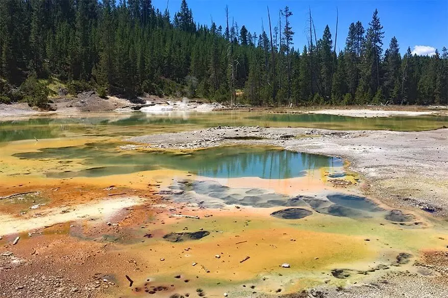 Geothermal features at Norris Geyser Basin