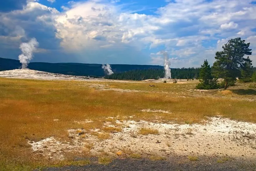 Geysers at the Upper Geyser Basin in Yellowstone