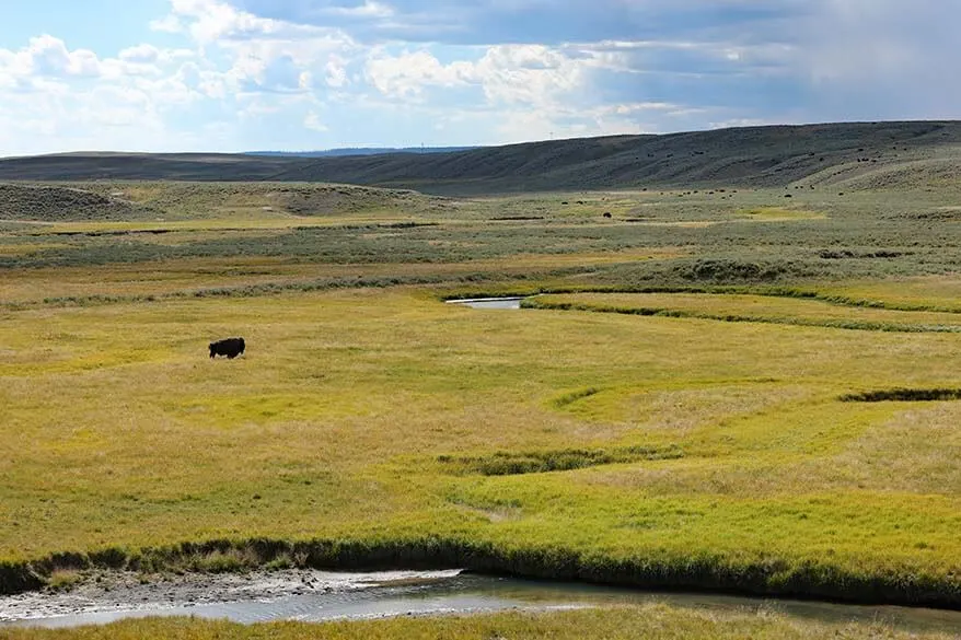 Hayden Valley in Yellowstone