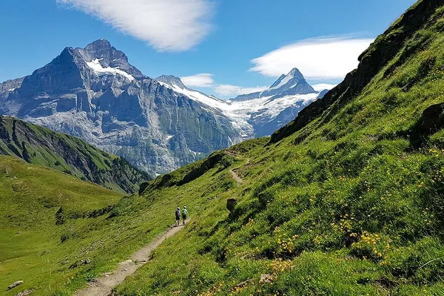Hiking Flower Trail in Grindelwald