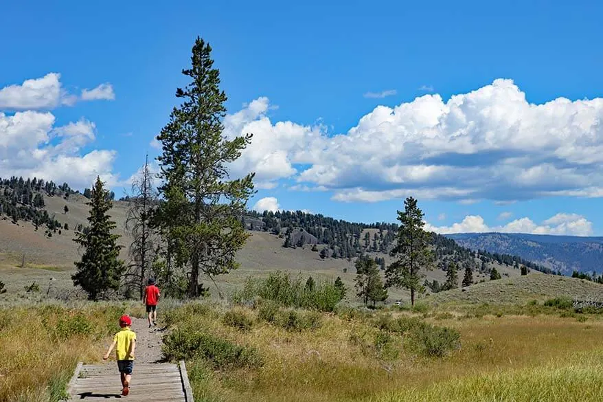 Kids hiking Wraith Falls Trail in Yellowstone