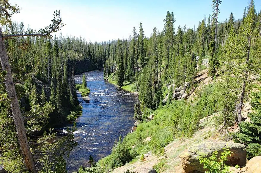 Lewis River in Yellowstone