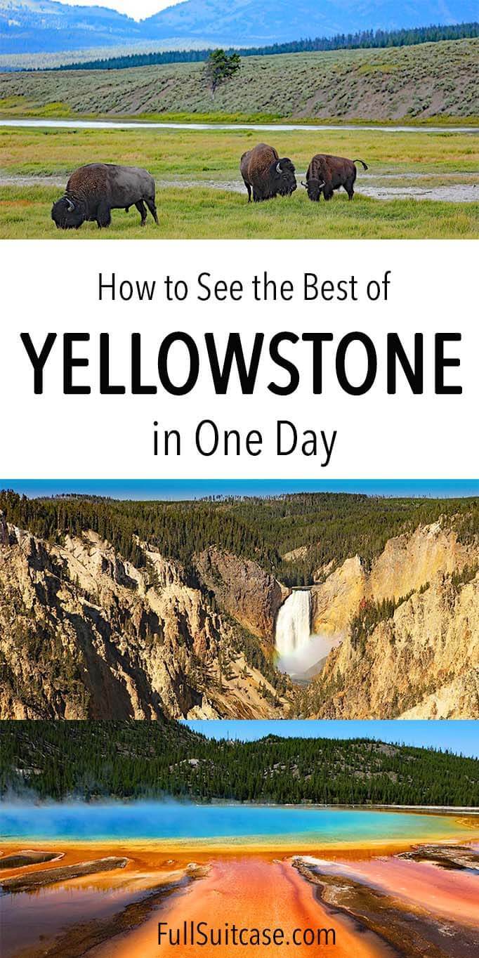 One day in Yellowstone National Park
