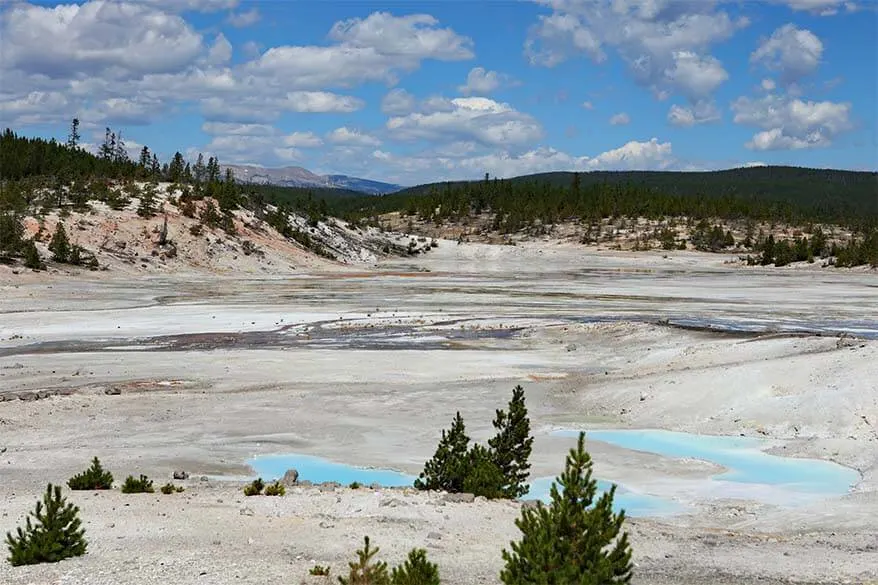 Porcelain Basin at Norris Geyser Basin