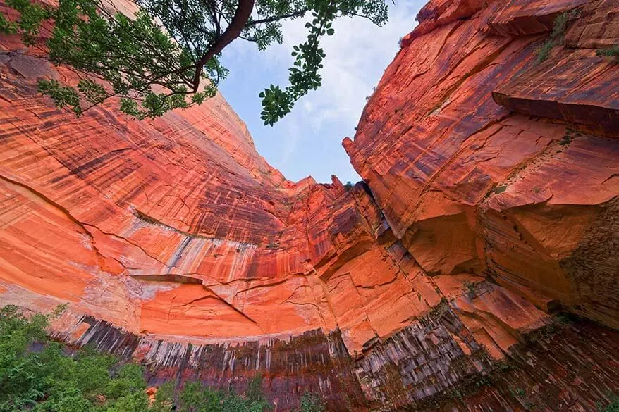 Red rock scenery at Emerald Pools in Zion