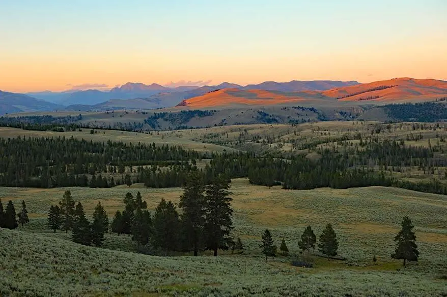 Yellowstone scenery at Dunraven Pass