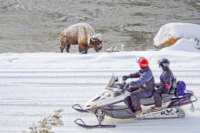 11 Best Yellowstone Tours & Guided Excursions for 2024 (+Info & Tips)