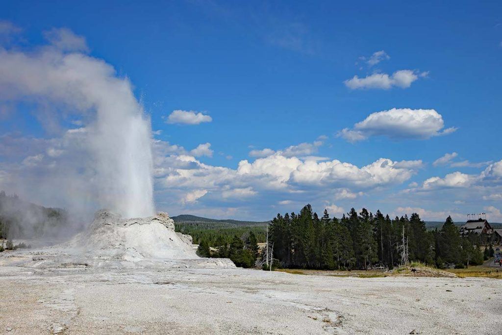 Yellowstone Guided Tours In April 2024 Yetty Katharyn