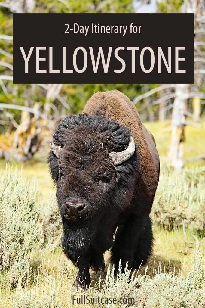 Yellowstone two days itinerary