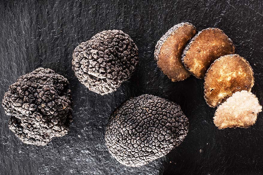 Black truffles - local specialty of Umbria region in Italy