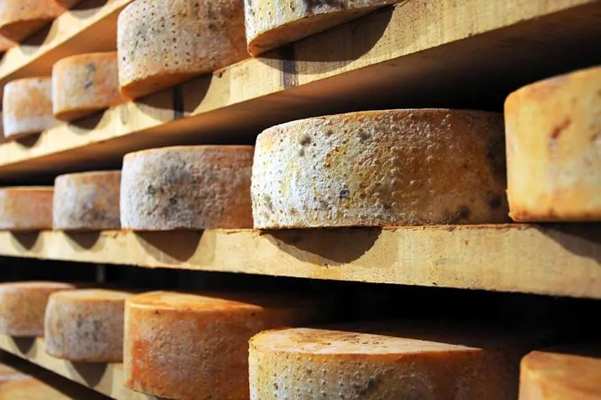 Fontina cheese in Aosta valley