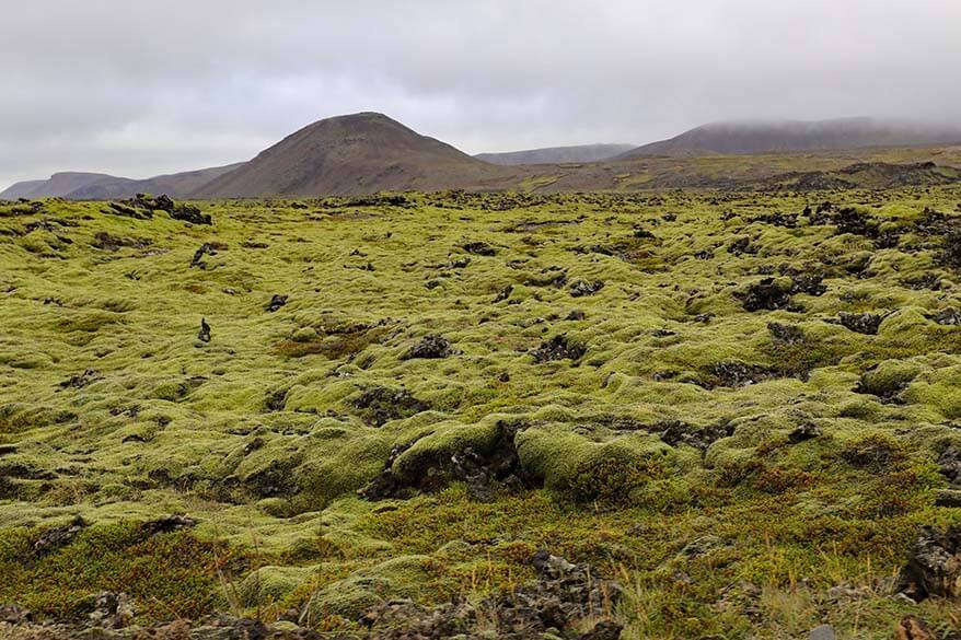 Lava field in Reykjanes Peninsula