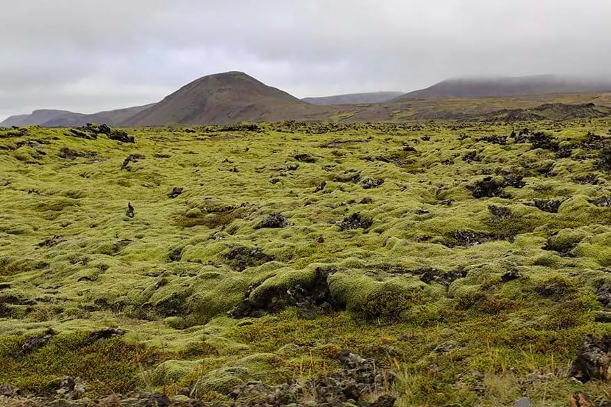 Lava field in Reykjanes Peninsula