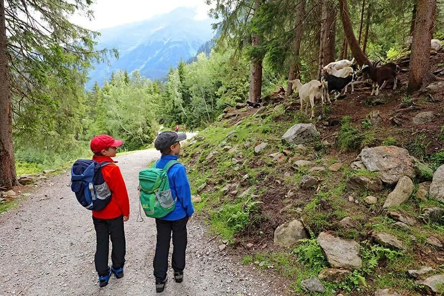 Hiking the Wild Water Trail in Stubai Valley with kids
