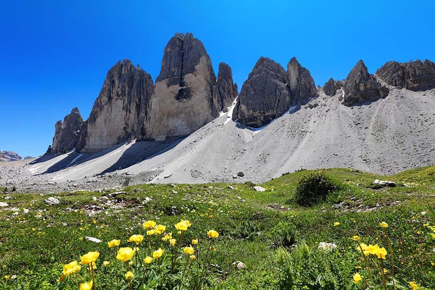 Tre Cime with summer flowers on a sunny day