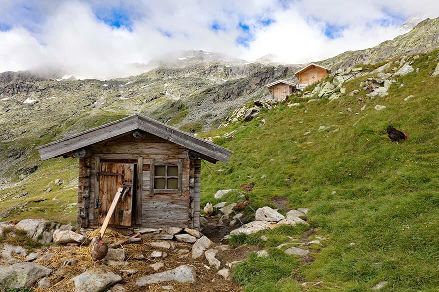 Zillertal Alps in summer