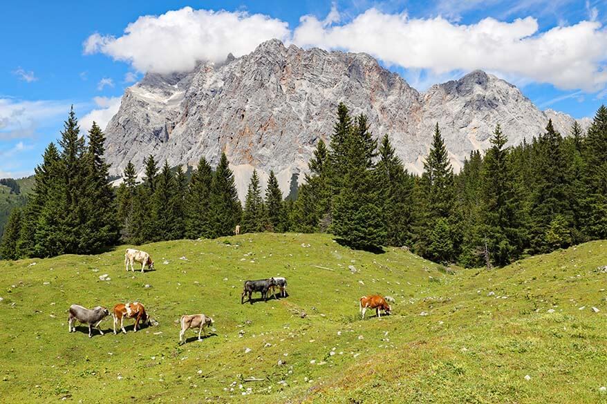 Zugspitze mountain as seen from Seebenalm