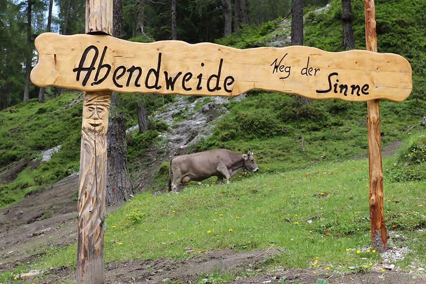 Abendweide weg der Sinne - Stubai, Austria