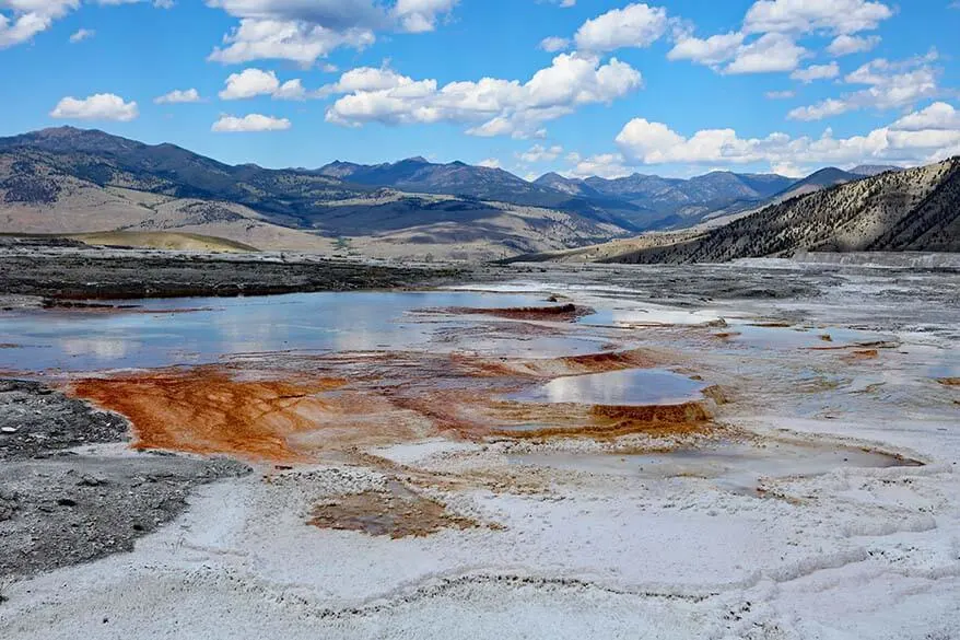 Canary Spring in Mammoth Hot Springs area of Yellowstone National Park