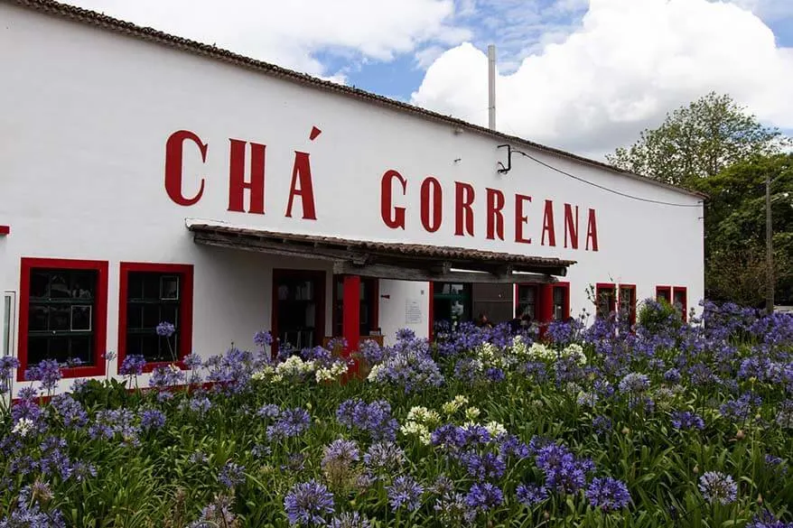 Cha Gorreana tea plantation in Sao Miguel, the Azores