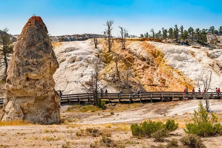 Complete guide to visiting Mammoth Hot Springs