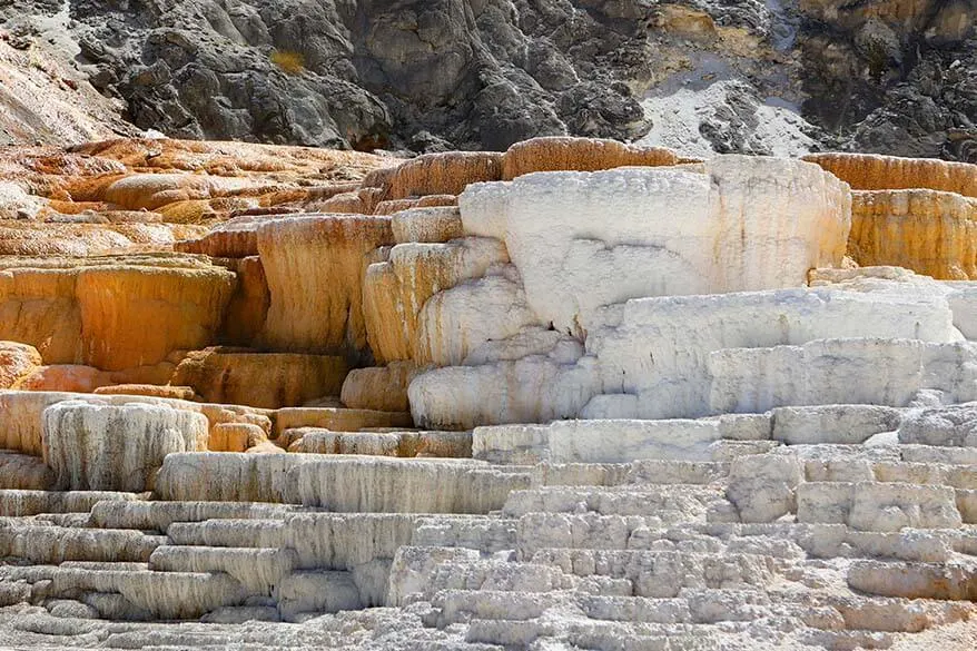 Geothermal features of Mammoth Hot Springs in Yellowstone