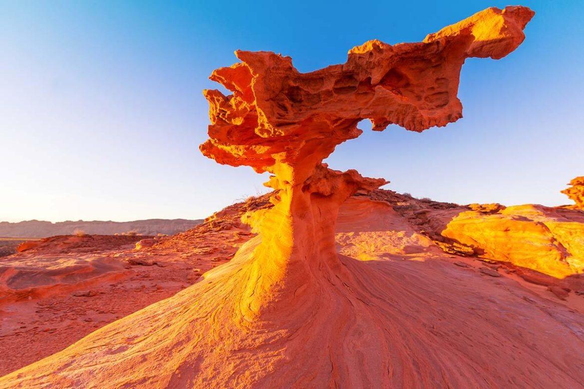Firsttimer's Guide to Gold Butte National Monument in Nevada, USA