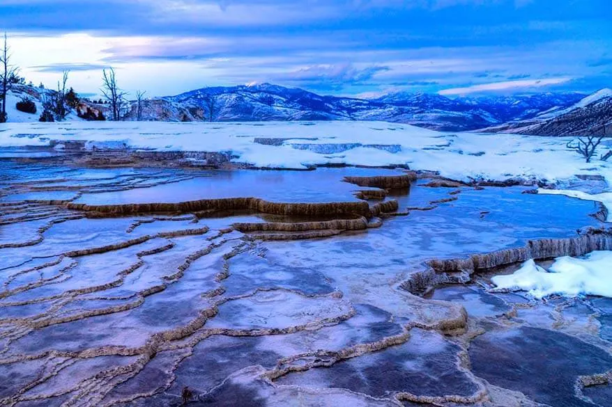 Mammoth Hot Springs in winter