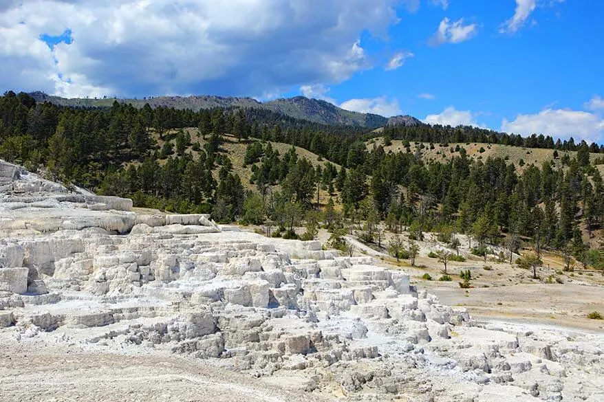 Minerva Terrace in Yellowstone