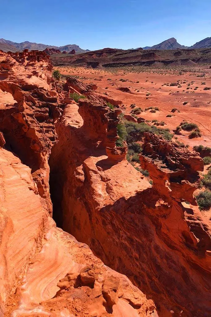 Off the beaten path in Nevada - Gold Butte National Monument