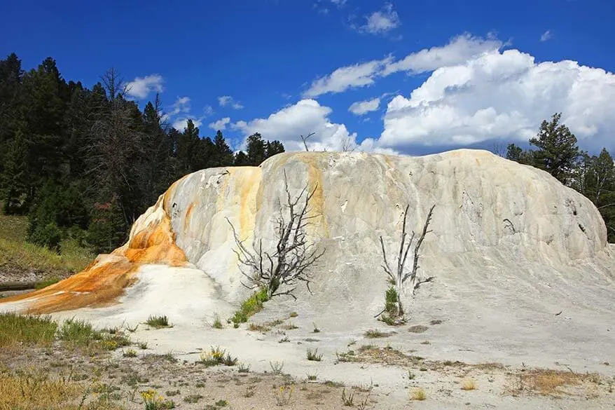 Orange Spring Mound