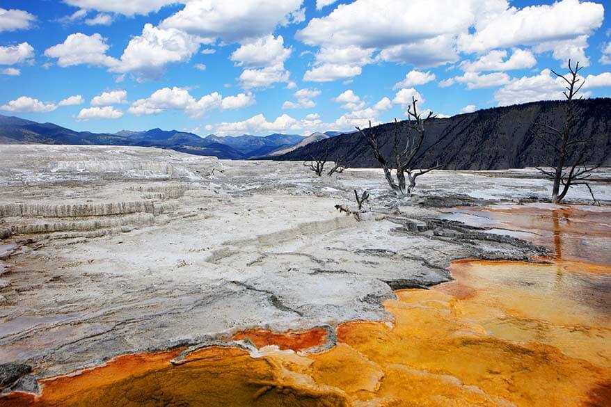 Scenery at the Upper Terrace of Mammoth Hot Springs