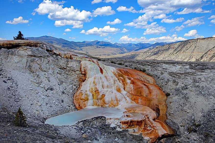 Things to do at Mammoth Hot Springs in Yellowstone