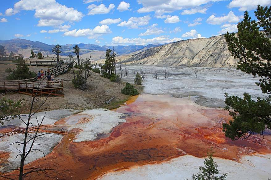 Upper Terrace at Mammoth Hot Springs in Yellowstone