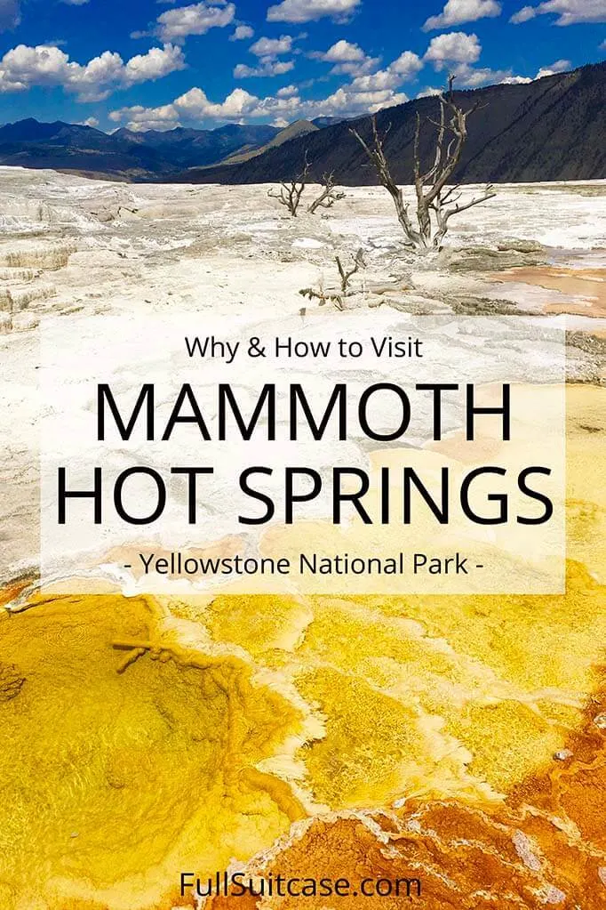 What to see and do at Mammoth Hot Springs in Yellowstone National Park