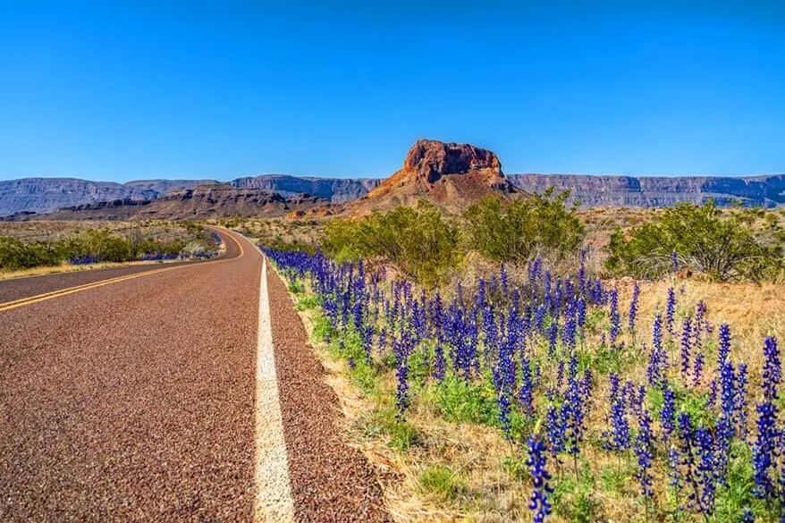 Big Bend National Park in February