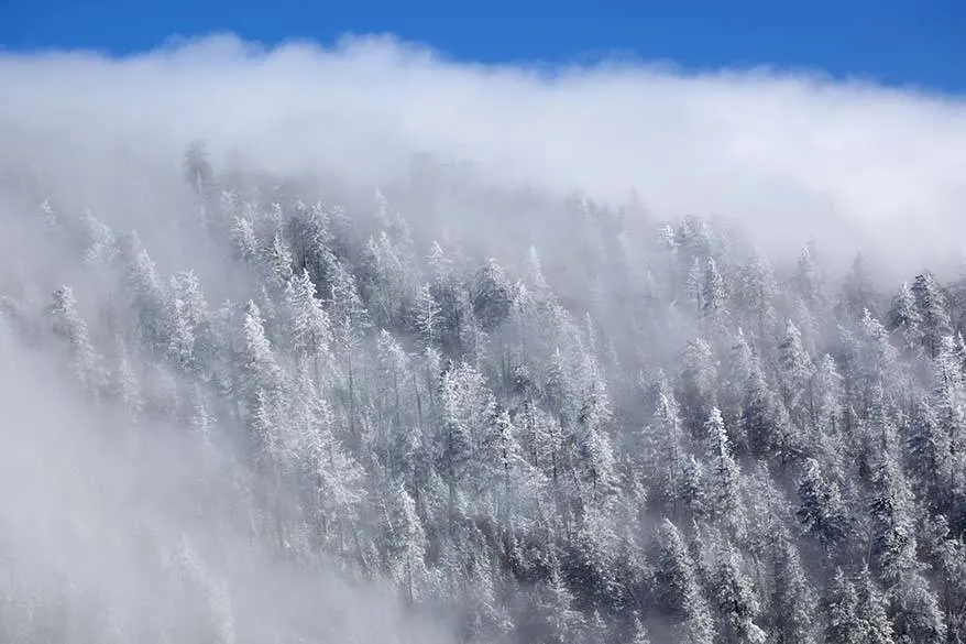 Great Smoky Mountains National Park in December