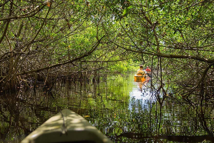 Kayaking in Everglades