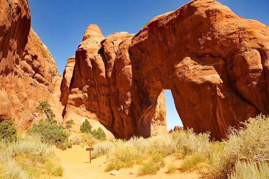 Pine Tree Arch