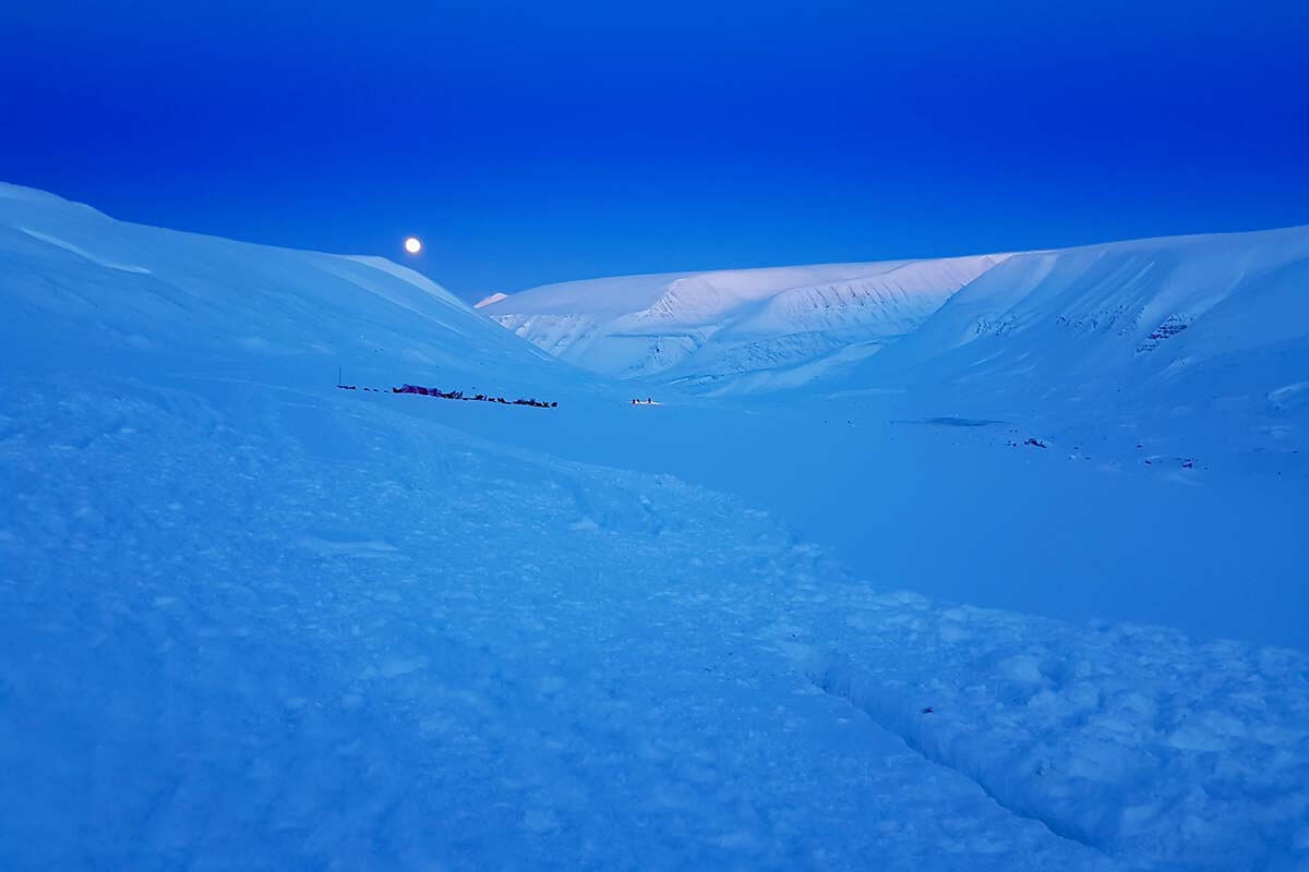 visit svalbard in february