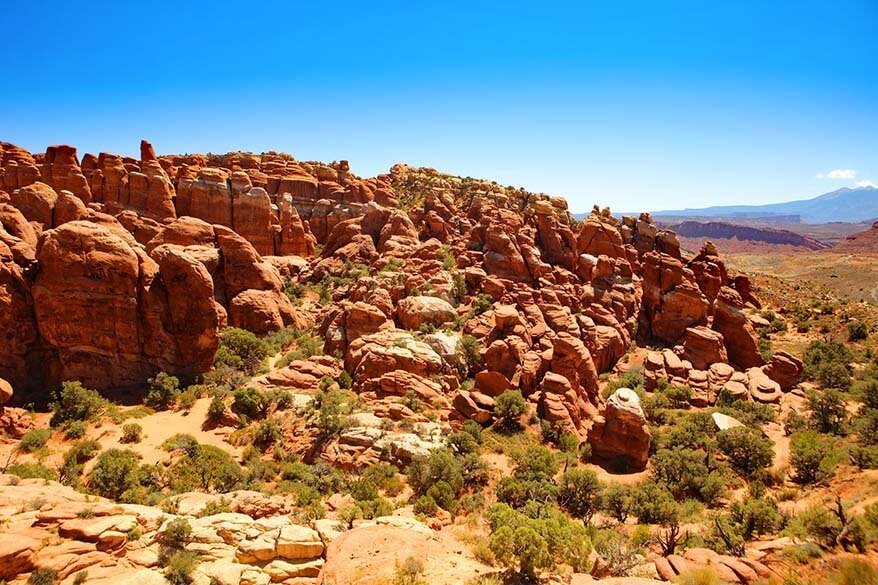 The Fiery Furnace